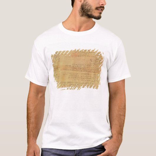 Rhindの数学パピルスの詳細 Tシャツ (正面)