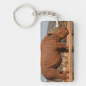Rhinoと泥の写真 キーホルダー (正面)