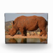 Rhinoと泥の写真 フォトブロック (正面)