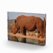 Rhinoと泥の写真 フォトブロック (右)