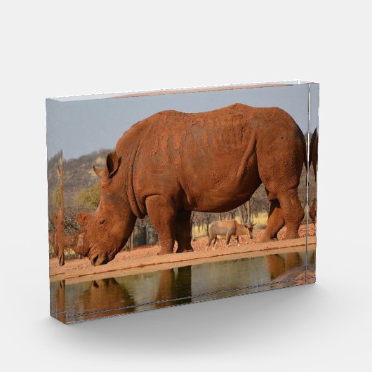 Rhinoと泥の写真 フォトブロック (左)
