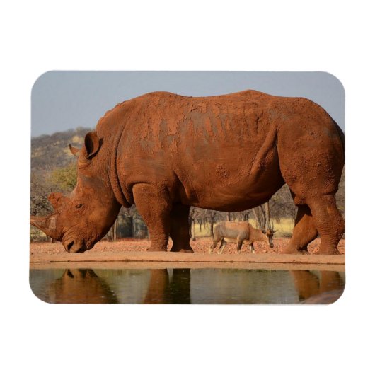Rhinoと泥の写真 マグネット (横)