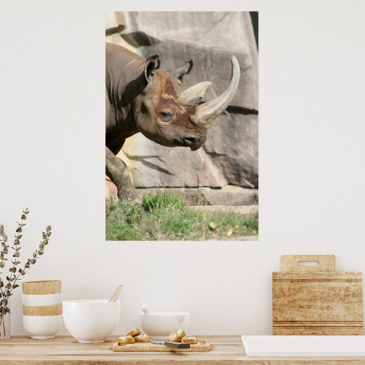 Rhinoのポスター ポスター (キッチン)