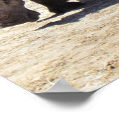 Rhinoのポスター ポスター (角)