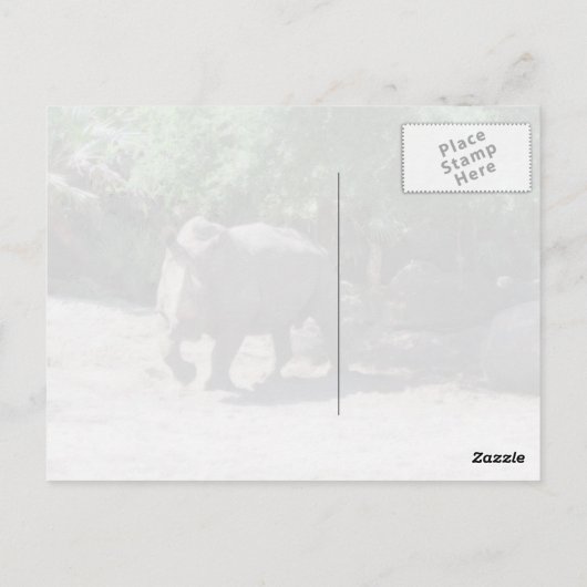 Rhinoはがき ポストカード (裏面)