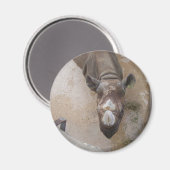 Rhinoアットザサンアントニオ動物園 マグネット (正面/裏面)