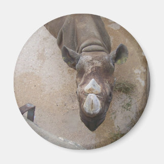 Rhinoアットザサンアントニオ動物園 マグネット