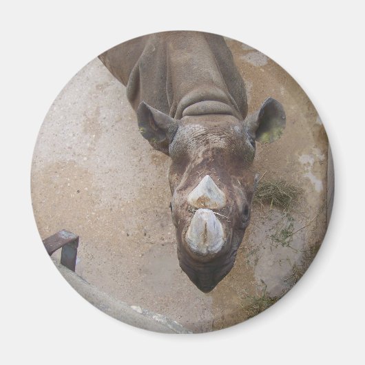 Rhinoアットザサンアントニオ動物園 マグネット (正面)