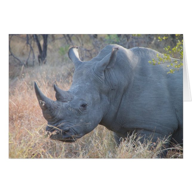 Rhinoカード (正面横)