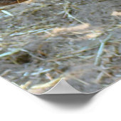 Rhinoフォトポスター ポスター (角)