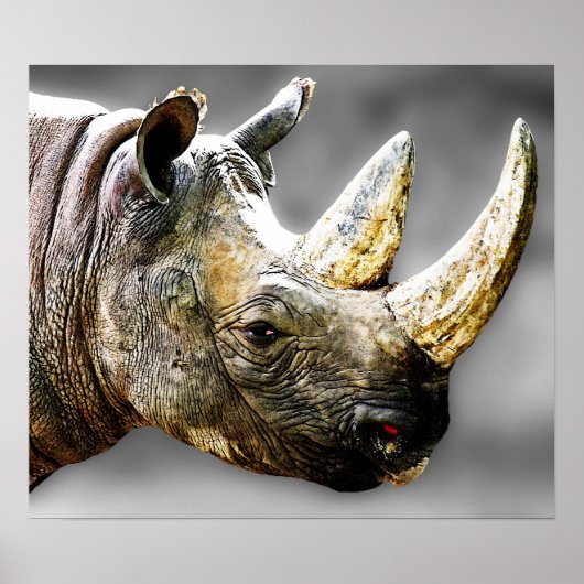 Rhinoヘッド、グレーの背絵画景 ポスター (正面)