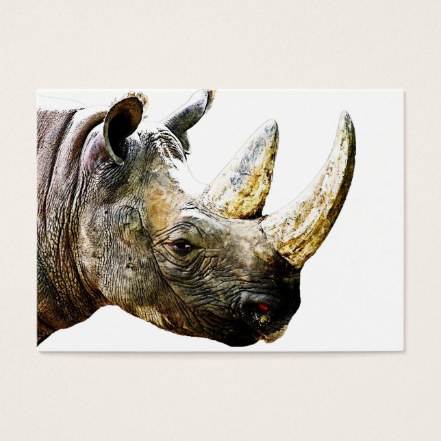 Rhinoヘッド、白い背景 (正面)