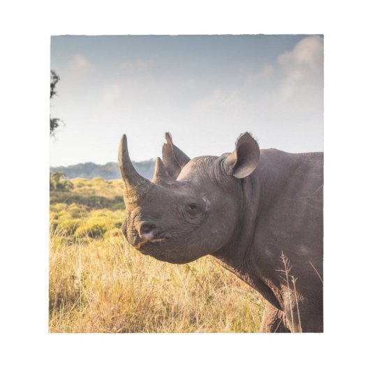 Rhinoメモ帳 ノートパッド (正面)