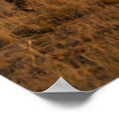 Rhino at Dusk - African Wildlife Wall Artポスター ポスター (角)