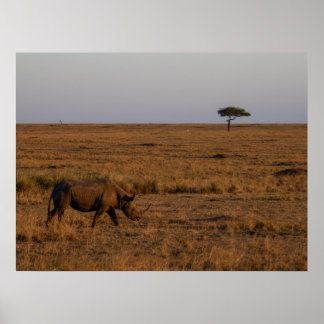 Rhino at Dusk - African Wildlife Wall Artポスター ポスター