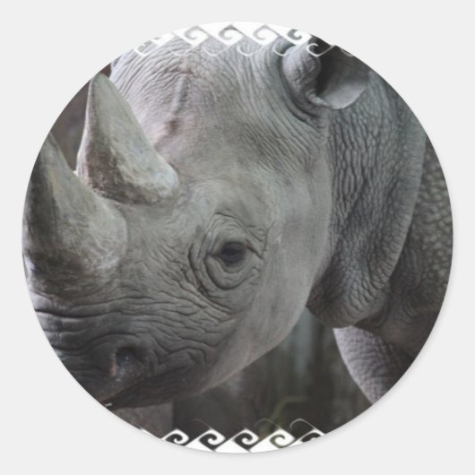 Rhino Factsスタンプ ラウンドシール (正面)