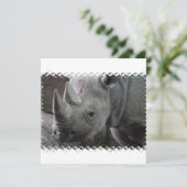 Rhino Facts招待状 招待状 (スタンド正面)