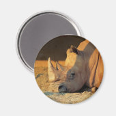 Rhino in Sunset Magnet マグネット (正面/裏面)