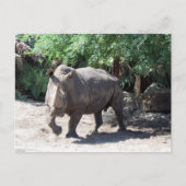 Rhinocerosポストカードの充電 ポストカード (正面)