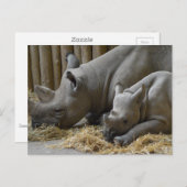 Rhinoceros ポストカード (正面/裏面)
