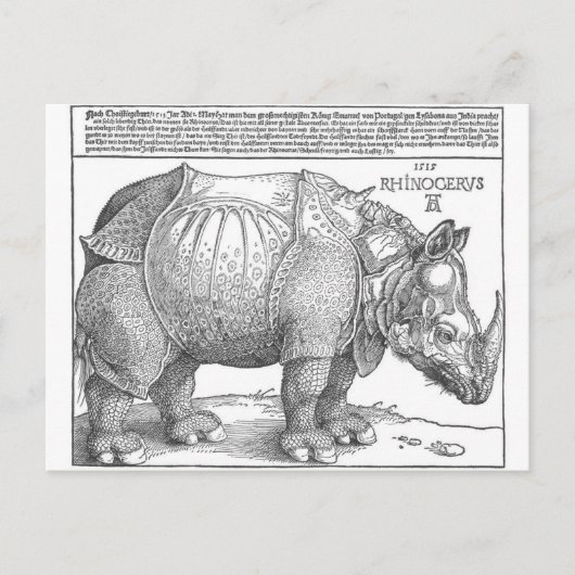 Rhinoceros by Albrecht Durer ポストカード (正面)