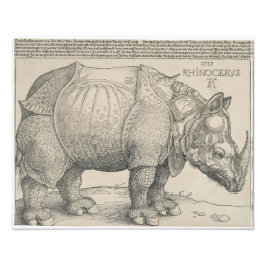 Rhinoceros, Woodcut by Albrecht Durer フォトプリント