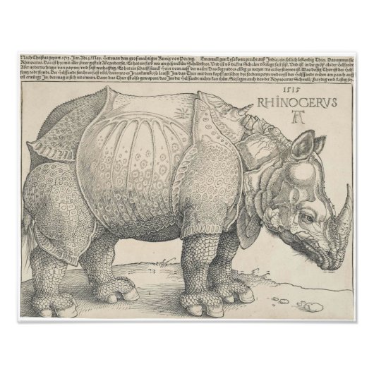 Rhinoceros, Woodcut by Albrecht Durer フォトプリント (正面)