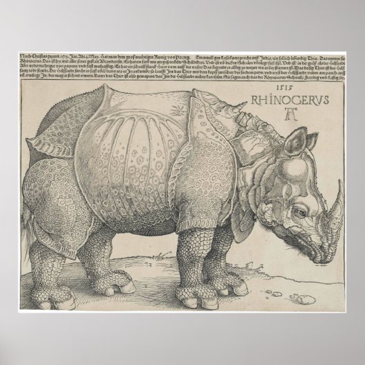 Rhinoceros, Woodcut by Albrecht Durer ポスター (正面)