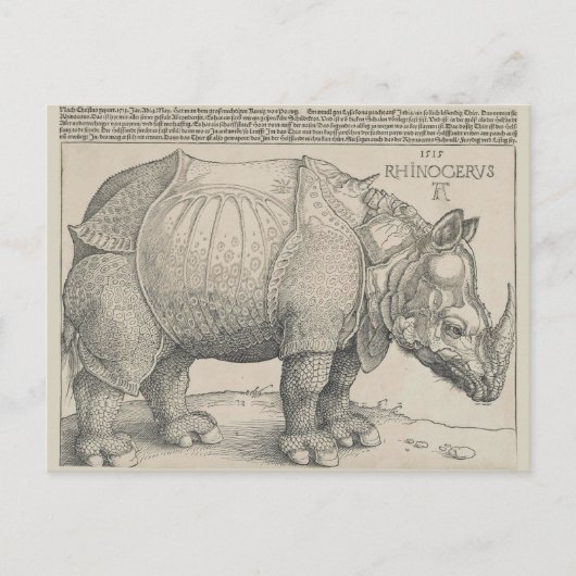 Rhinoceros, Woodcut by Albrecht Durer ポストカード (正面)