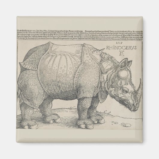 Rhinoceros, Woodcut by Albrecht Durer マグネット (正面)