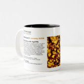 RHKの技術-月のマグの2008年1月のイメージ ツートーンマグカップ (正面左)