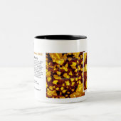 RHKの技術-月のマグの2008年1月のイメージ ツートーンマグカップ (中央)