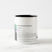 RHKの技術-月の威厳があるな2007年のイメージ ツートーンマグカップ (中央)