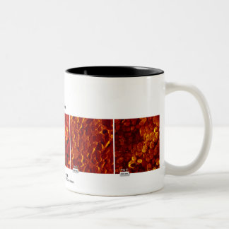 RHKの技術-月の2007年10月のイメージ ツートーンマグカップ