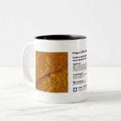 RHK IOM 2012年10月 ツートーンマグカップ (正面左)