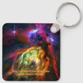 Rho Ophiuchi Cloud Complex - James Webb NIRCam キーホルダー (裏面)