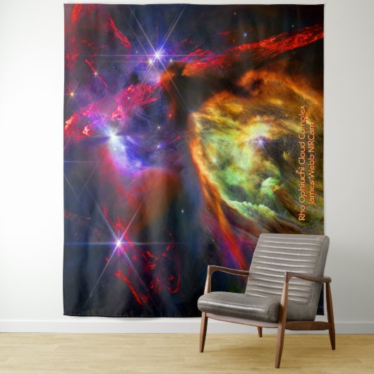 Rho Ophiuchi Cloud Complex - James Webb NIRCam タペストリー (インサイチュ)