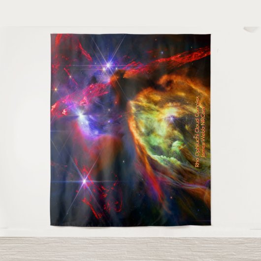 Rho Ophiuchi Cloud Complex - James Webb NIRCam タペストリー (正面)