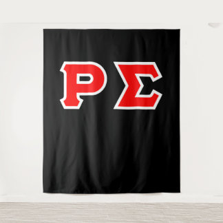 RHO SIGMAタペストリ タペストリー