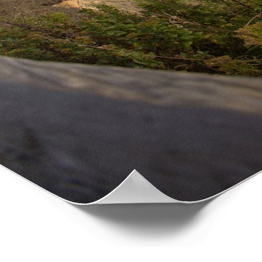 Rhode Island Cliffside Waterscape Poster ポスター (角)