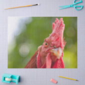 Rhode Island Red Rooster 薄葉紙 (クラフト)
