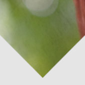 Rhode Island Red Rooster 薄葉紙 (詳細)