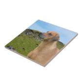 Rhodesian甘いRidgeback犬 タイル (側面)