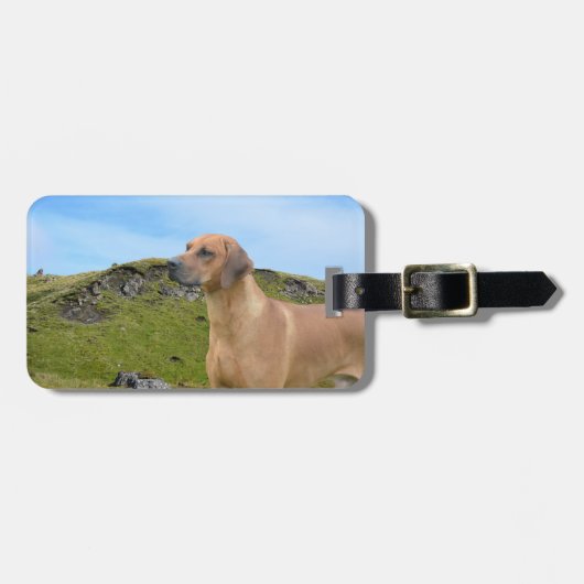 Rhodesian甘いRidgeback犬 ラゲッジタグ (正面横)
