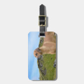 Rhodesian甘いRidgeback犬 ラゲッジタグ (正面縦)