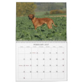 Rhodesian Ridgebackのカレンダー2011年 カレンダー (2月 2027)