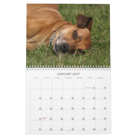 Rhodesian Ridgebackのカレンダー2011年 カレンダー (1月 2027)