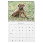 Rhodesian Ridgebackのカレンダー2011年 カレンダー (3月 2027)