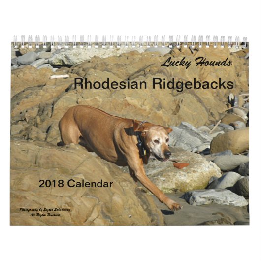 Rhodesian Ridgebackのカレンダー2018年 カレンダー (カバー)