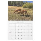 Rhodesian Ridgebackのカレンダー2019年の行く場所 カレンダー (3月 2027)